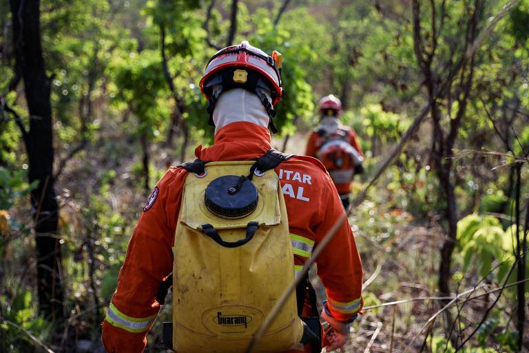 Bombeiro de uniforme laranja caminhando na floresta
