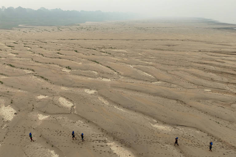 Foto feita por drone mostra rio Madeira, no Amazonas, com imensos bancos de areia e poucas poças d'agua em uma das maiores secas da história