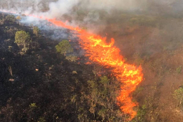 A imagem mostra um incêndio florestal no Parque Nacional da Chapada dos Guimarães, em Mato Grosso. Chamas intensas estão se espalhando pelo solo, com fumaça densa subindo em direção ao céu. A vegetação ao redor parece seca e queimada, evidenciando os danos causados pelo fogo.