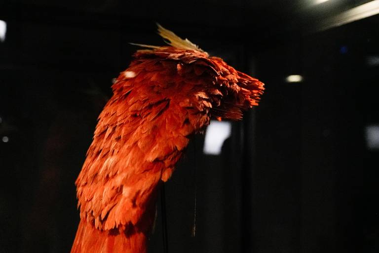 Indígenas preparam vigília no Museu Nacional para cobrar devolução do manto tupinambá à Bahia
