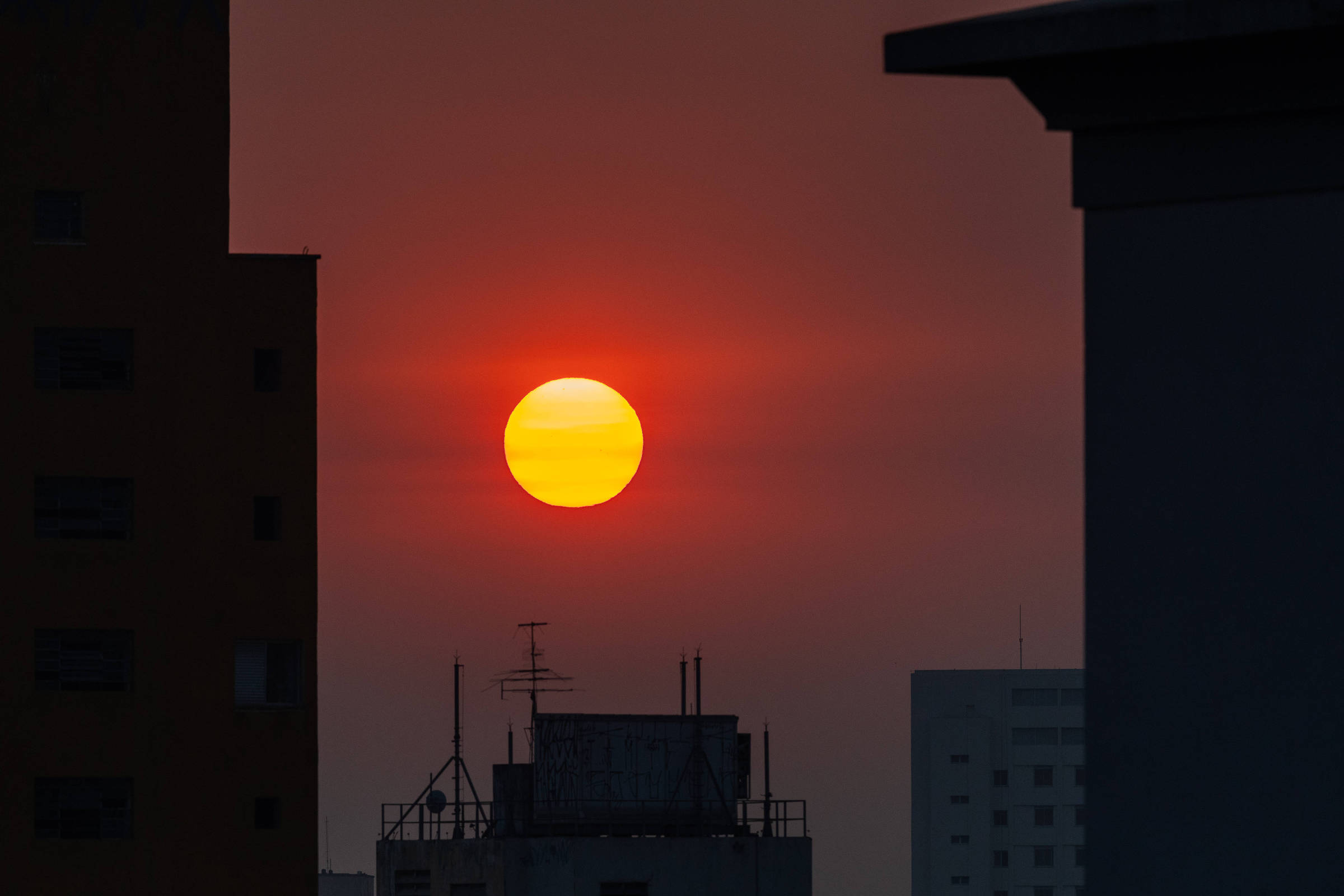 2024 foi o primeiro ano do resto de nossas vidas?