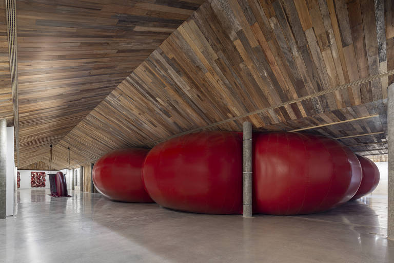 Obra 'Blinded by Eyes, Butchered by Birth', de Anish Kapoor