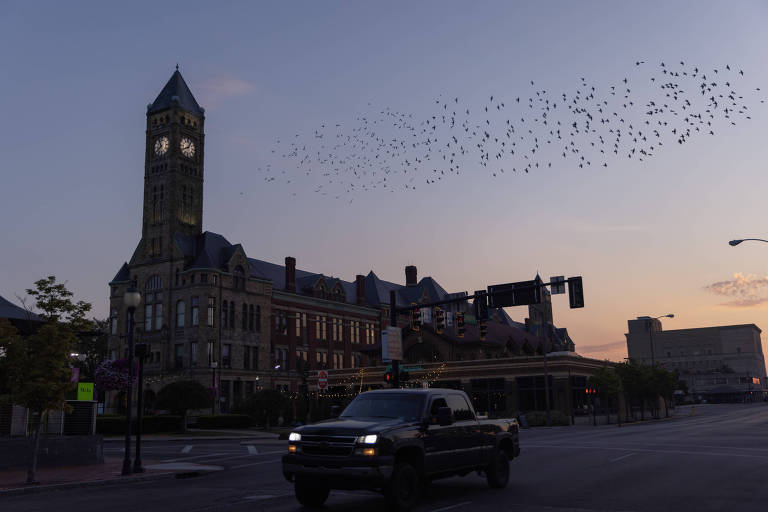 A imagem mostra um edifício histórico com uma torre de relógio ao amanhecer, com um céu em tons de azul e laranja. Um caminhão preto está em primeiro plano, enquanto um grupo de pássaros voa em formação no céu. Há semáforos e postes de luz visíveis, além de árvores e flores na calçada.