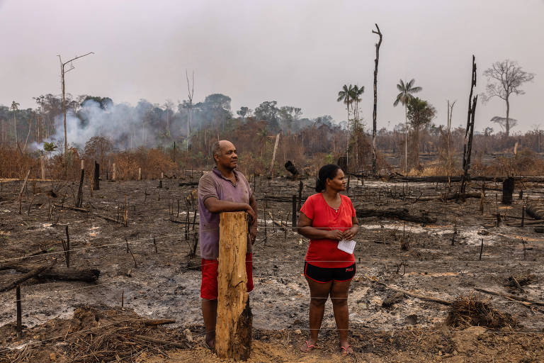 A imagem mostra duas pessoas em pé em uma área devastada por incêndio. O solo está coberto de cinzas e restos de árvores queimadas, com fumaça visível ao fundo. As pessoas estão em pé, uma delas segurando um pedaço de madeira, enquanto a outra segura um papel. O ambiente é árido e desolado, com algumas árvores ainda em pé, mas sem folhas.