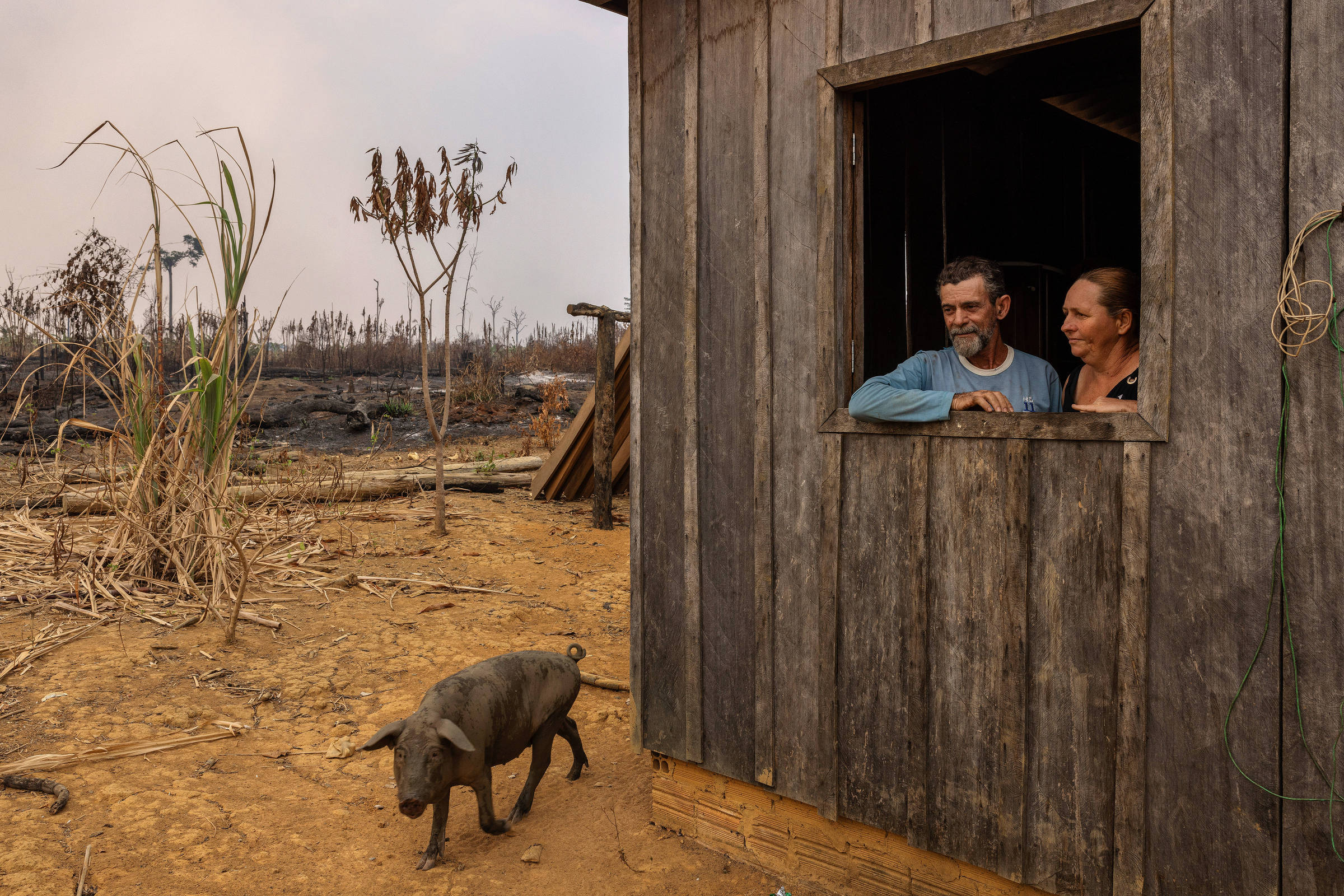 Casal de agricultores na janela da casa cercada pelo fogo