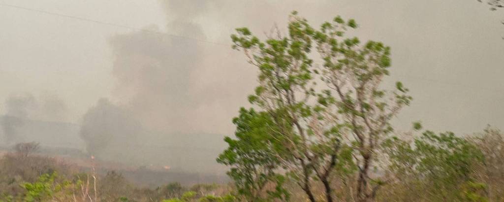 A imagem mostra uma paisagem com fumaça densa no fundo, indicando um incêndio. Há algumas árvores verdes em primeiro plano, contrastando com a vegetação seca ao redor. O céu parece nublado devido à fumaça.