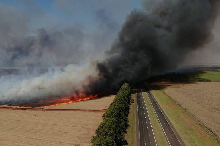 A imagem mostra um incêndio em um campo aberto, com chamas laranjas e uma densa coluna de fumaça preta subindo em direção ao céu. À direita, há uma estrada pavimentada que corre paralela ao campo, e à esquerda, uma linha de árvores se destaca contra o fundo do incêndio. O céu está claro, contrastando com a fumaça escura