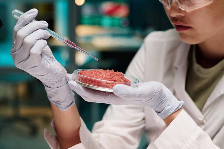 Carne em laboratório
