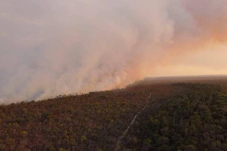 Incêndio no Parque Nacional de Brasília