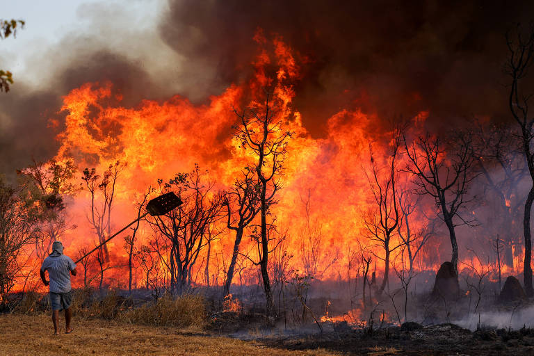 Incêndio atingiu o Parque Nacional de Brasília. Bombeiros e populares tentavam conter as chamas