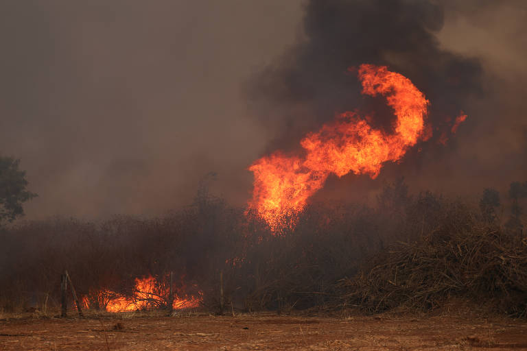 Incêndios em parque e florestas tem se alastrados nas últimas semanas pelo país devido o tempo seco e altas temperaturas