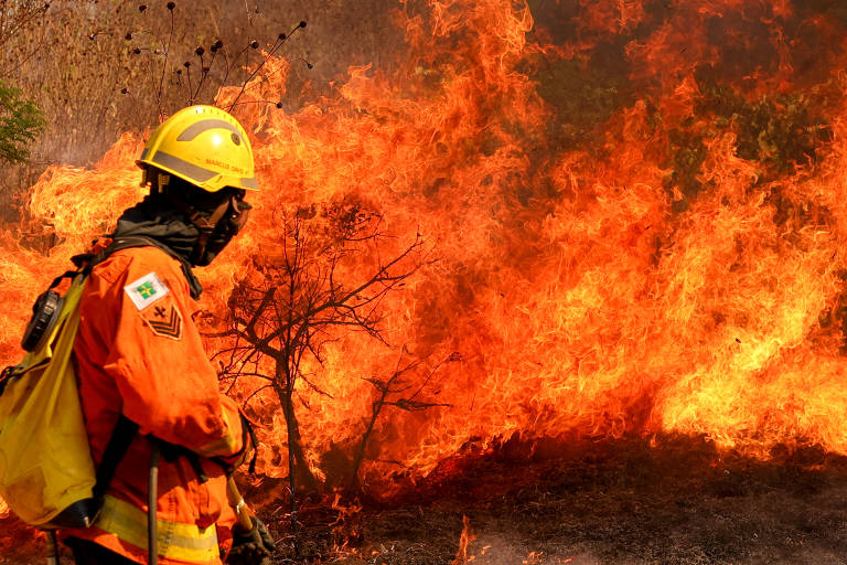 Um bombeiro, vestido com um uniforme laranja e um capacete amarelo, observa um incêndio florestal intenso. Chamas altas e laranja se elevam ao fundo, consumindo a vegetação ao redor. O ambiente é de fumaça e calor