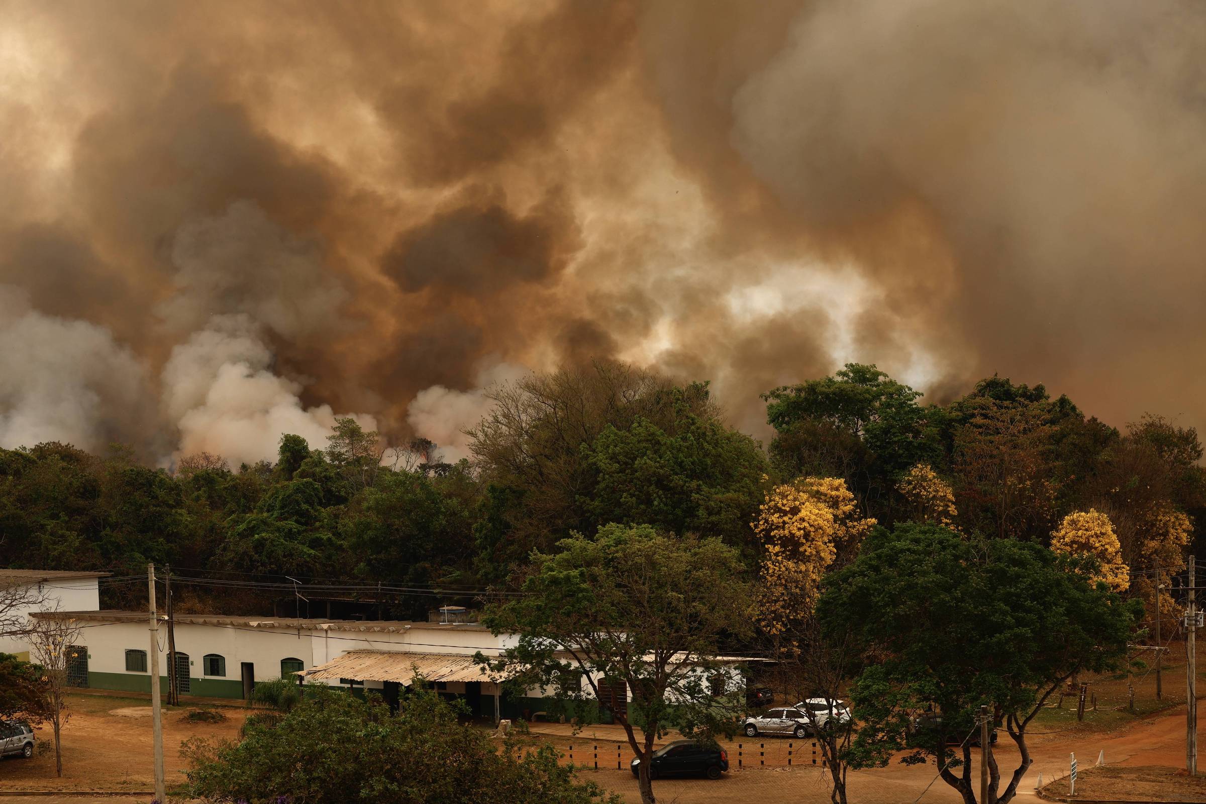 Fundo BNP para Investir em Clima: Cotas Pessoas Físicas 2024