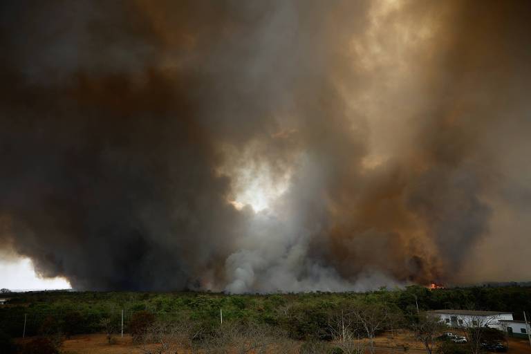 A imagem mostra uma densa nuvem de fumaça escura cobrindo uma área de vegetação. No fundo, há chamas visíveis, indicando um incêndio florestal em andamento. A vegetação é predominantemente verde, mas algumas árvores parecem secas. O céu está obscurecido pela fumaça, criando um ambiente sombrio