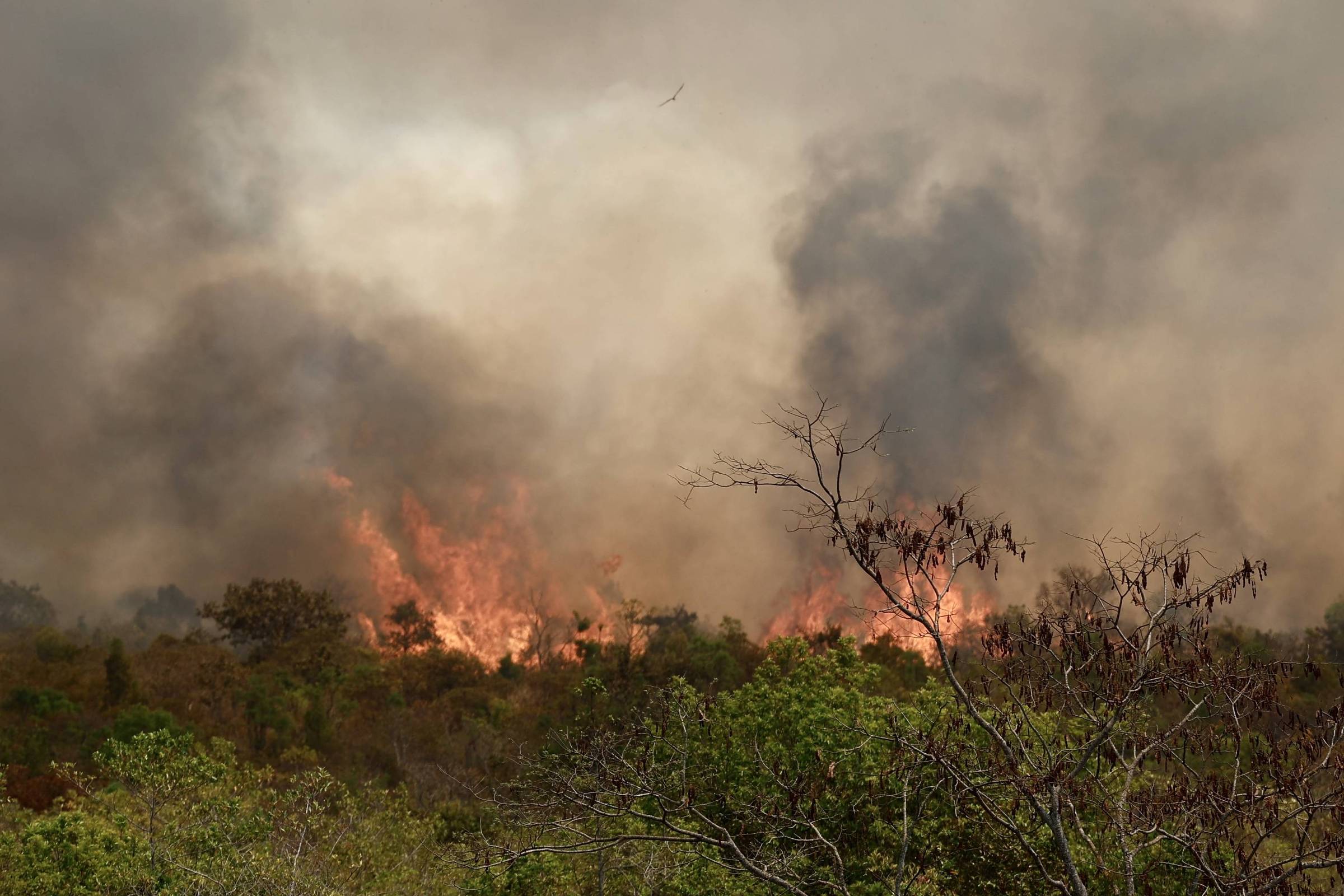 Punição para incêndios é branda e fiscalização esbarra em falta de estrutura, dizem especialistas