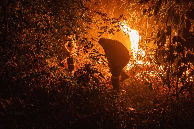 Fogo ao fundo e silhueta de brigadistas no meio da mata