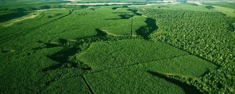 Vista aérea de plantação da Suzano, que se assemelha a mosaico, nome dado ao método de manejo sustentável