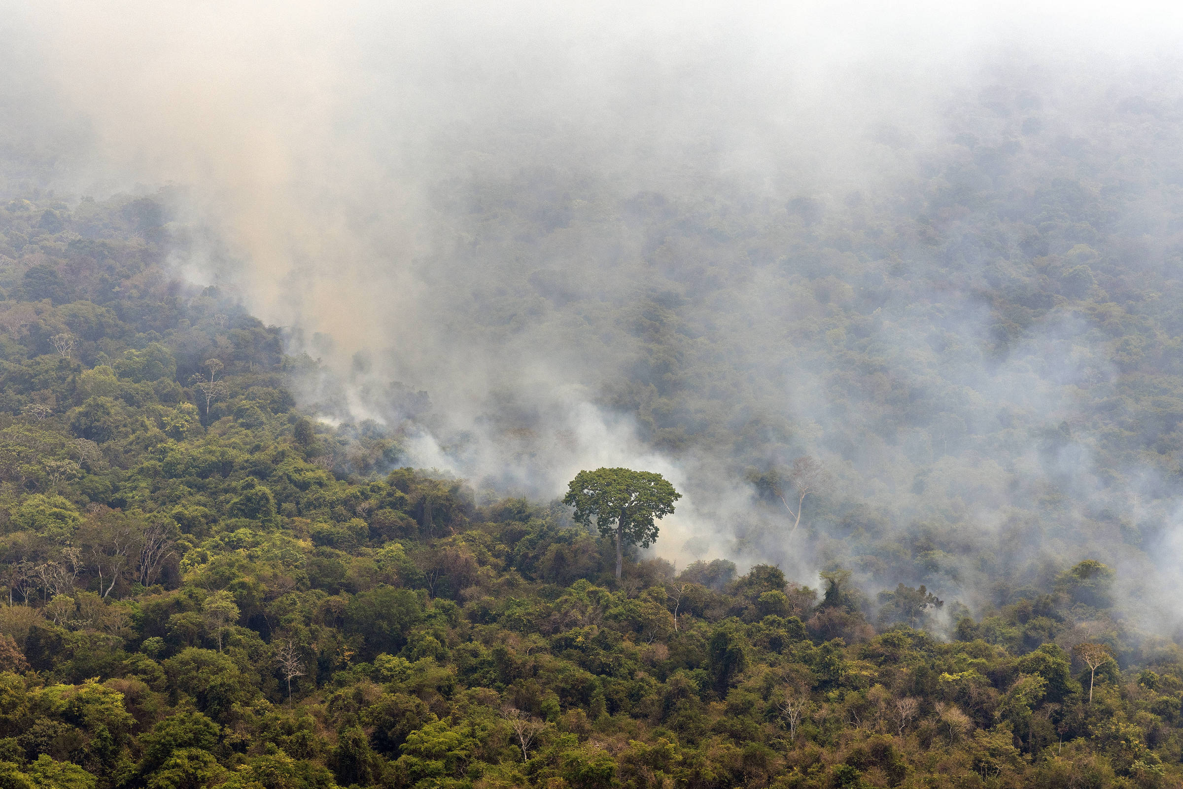 A três meses do fim do ano, Brasil já tem mais focos de incêndio do que em todo 2023