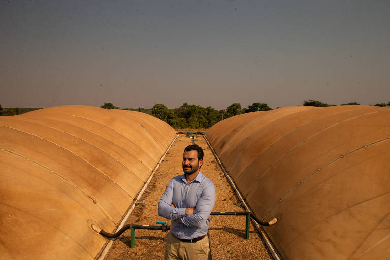 Agro: Fazenda mostra poder dos porcos para energia limpa - 21/09/2024 -  Mercado - Folha