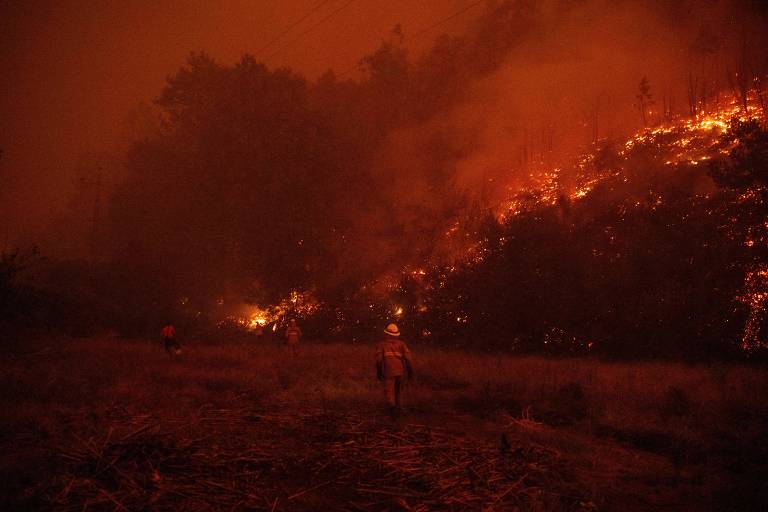 A imagem mostra um incêndio florestal em uma área de vegetação. O céu está tomado por uma coloração laranja intensa devido à fumaça e às chamas. No primeiro plano, uma pessoa está em pé, observando a cena, enquanto as chamas consomem a vegetação ao fundo.