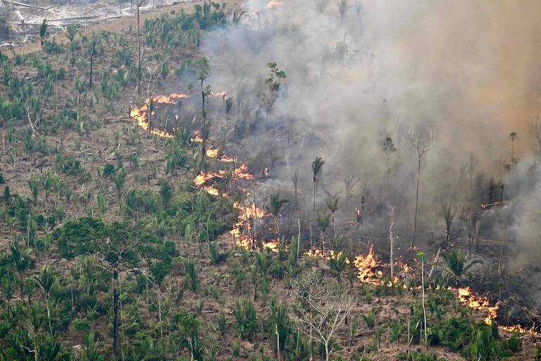 A imagem mostra uma área de floresta em chamas, com fumaça densa se espalhando pelo ar. O fogo avança por uma linha, queimando a vegetação e deixando árvores queimadas e desmatadas ao fundo. Algumas árvores ainda estão de pé, enquanto outras estão completamente consumidas pelo fogo. A cena retrata a devastação causada por incêndios florestais.
