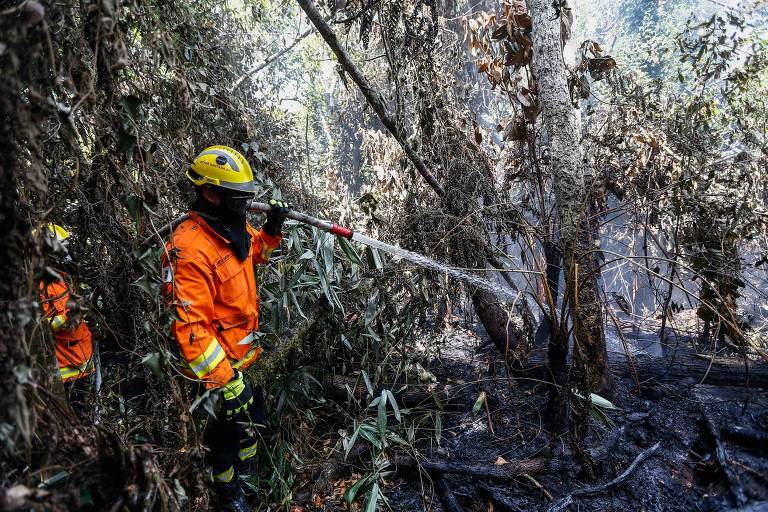 Brigadistas tentam controlar fogo subterrâneo no Parque Nacional de Brasília