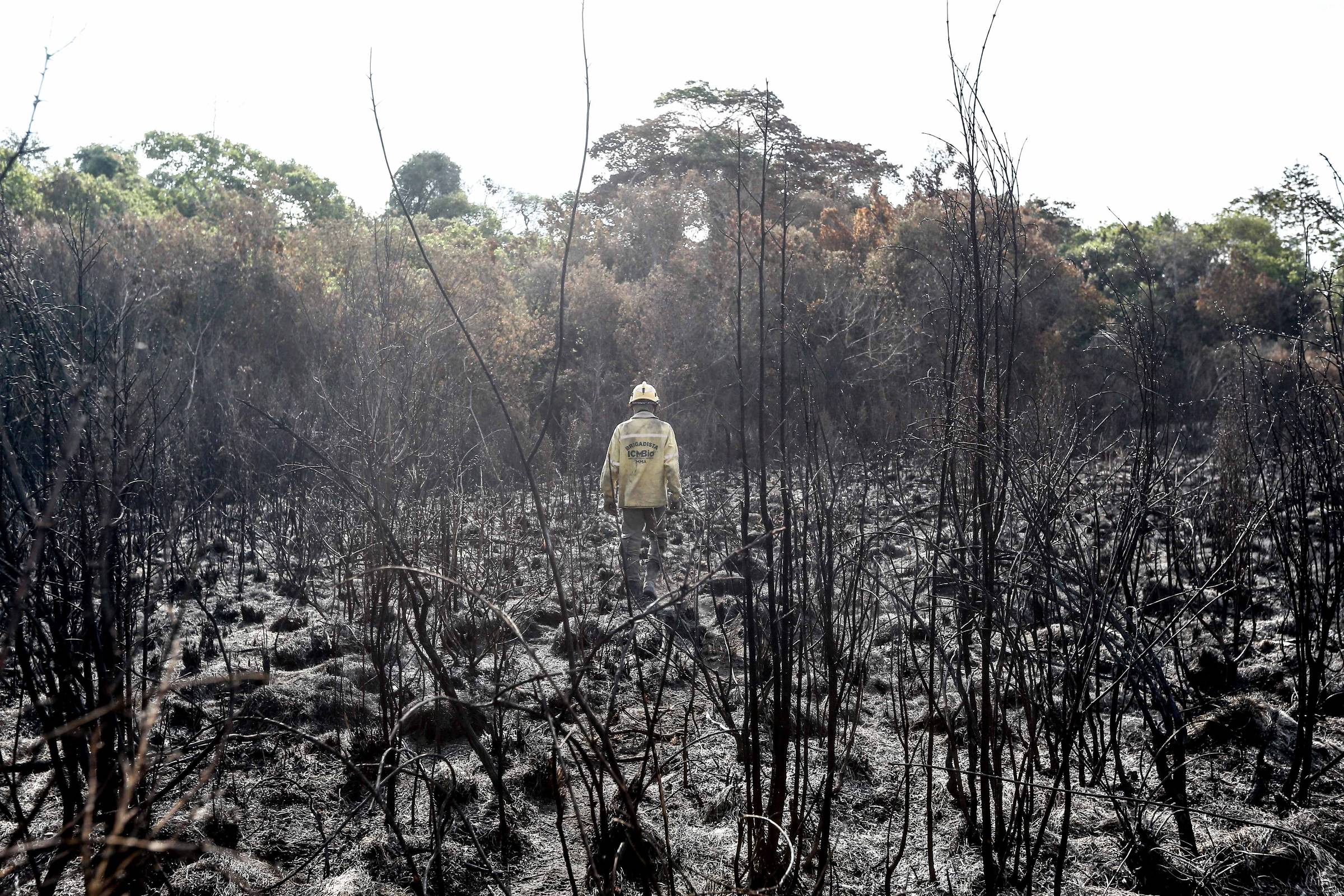 Boletins indicam que fogo cresceu em velocidade superior a resposta federal e estadual