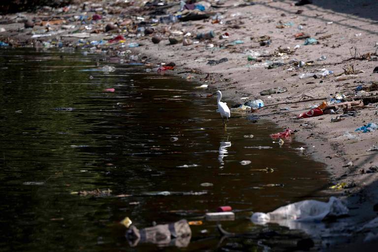 Lixo na praia da Baía de Guanabara, no Rio de Janeiro