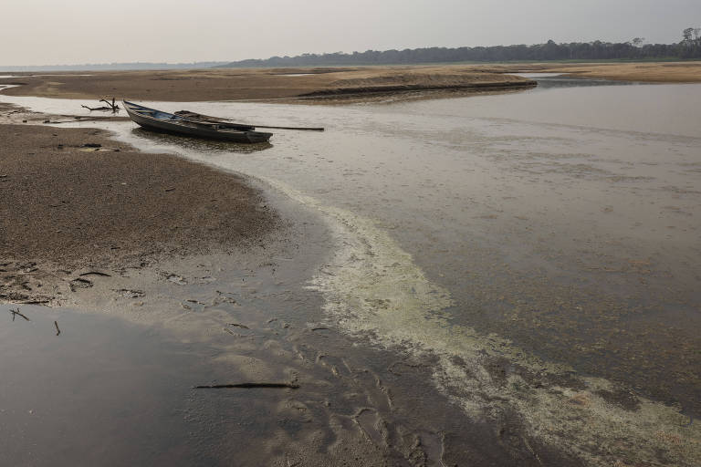 Canoa atracada em lagoa com pouca água