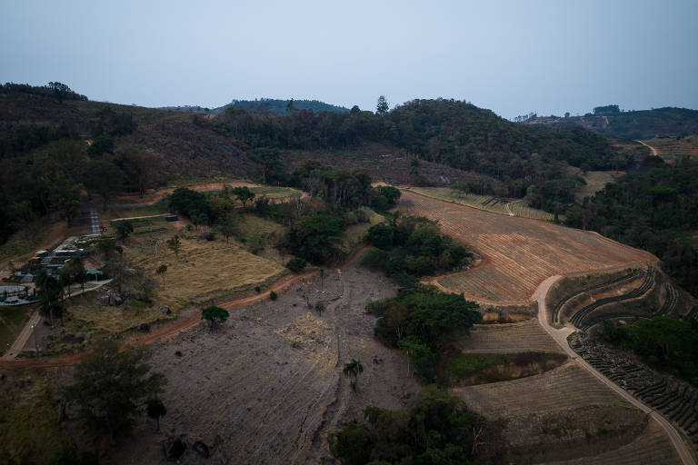 Incêndios atingem cidades do interior de São Paulo