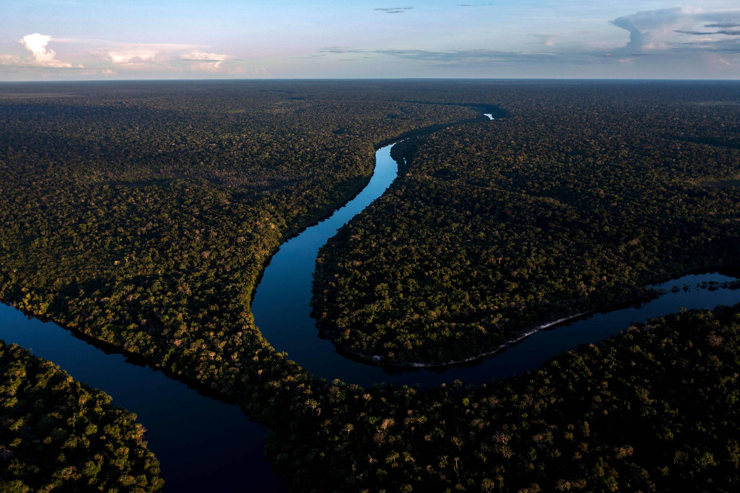 Brasil Sem Planos de Títulos Específicos para Amazônia em 2024