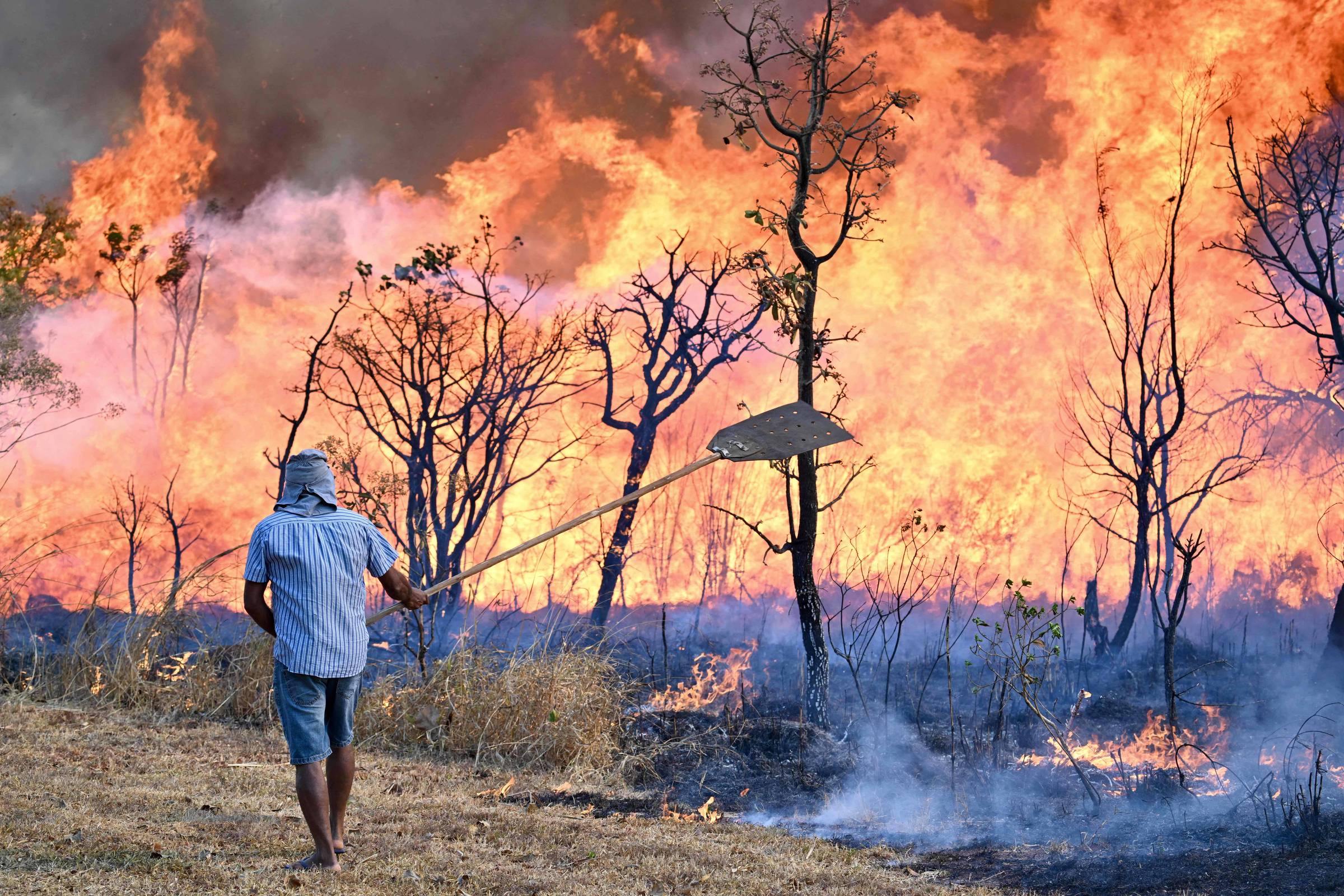 Opinião - Vinicius Torres Freire: A conversa mole sobre Brasil líder mundial no ambiente tira a atenção de crises urgentes