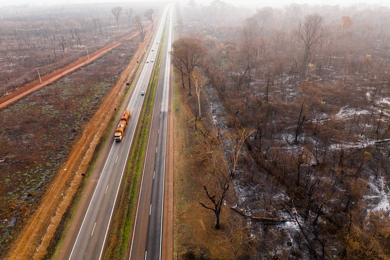 A imagem mostra uma rodovia cercada por uma área queimada. À esquerda, há uma faixa de vegetação queimada, com árvores secas e cinzas. À direita, a vegetação está mais densa, mas também apresenta sinais de queimadas