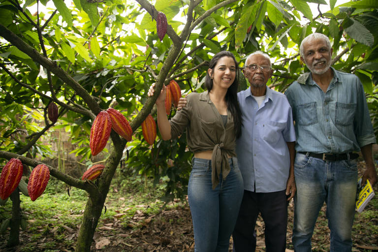 A imagem mostra três pessoas em um pomar de cacau. Duas delas estão em pé, uma mulher à esquerda e um homem à direita, enquanto um homem idoso está no centro. Eles estão sorrindo e posando ao lado de uma árvore de cacau carregada de frutos maduros, que são de cor laranja e vermelha. O ambiente é verde e natural, com folhagens ao fundo.