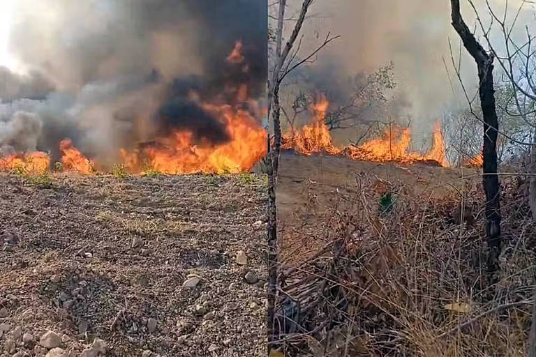 Dois brigadistas morrem durante combate a incêndio no Piauí