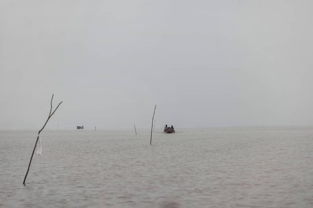 Canal em lago delimitado por varas