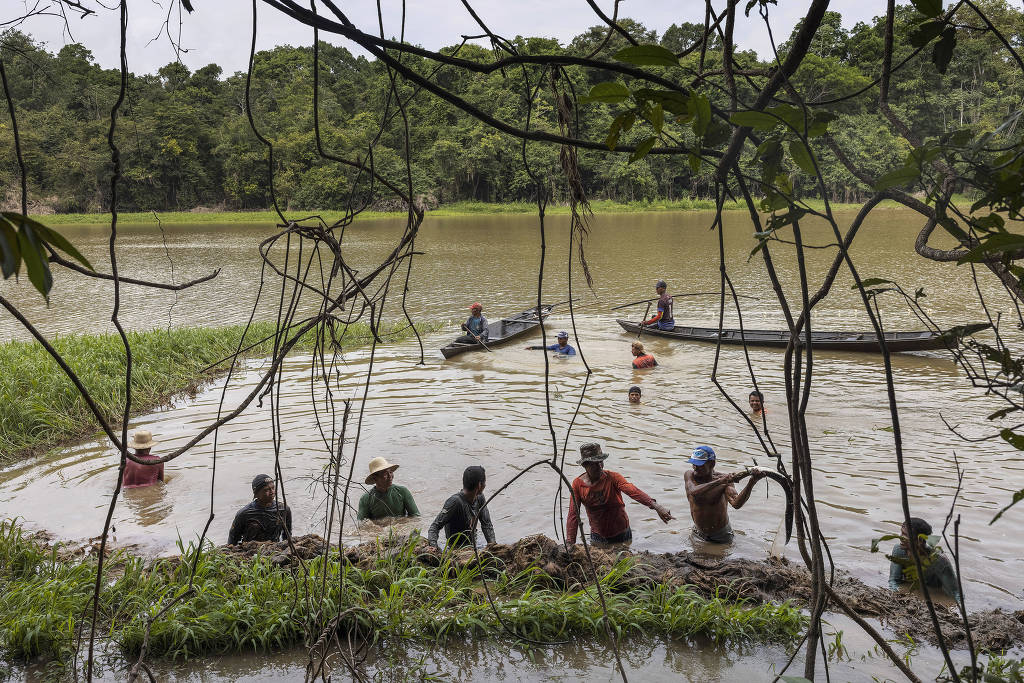 Pescadores retiram capim em lago