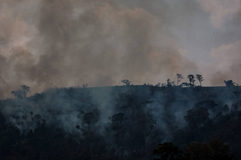 A imagem mostra uma floresta com fumaça se elevando, indicando a presença de fogo. O céu está coberto por nuvens escuras e a vegetação aparece em tons de cinza e marrom, sugerindo que a área está sendo afetada por incêndios