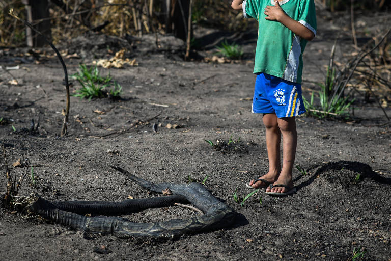 Uma criança está em pé em um terreno seco e queimado, com vegetação escassa ao redor. Ela usa uma camiseta verde e shorts azuis, e parece pensativa, com uma mão na cabeça. O solo é de terra exposta e há restos de uma árvore queimada ao fundo.