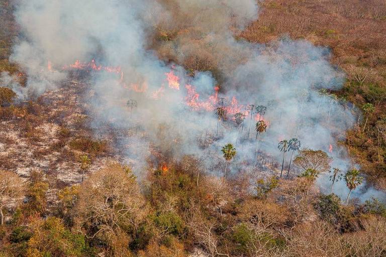 Ibama multa fazendeiros em R$ 100 mi por incêndio de 333 mil hectares no pantanal