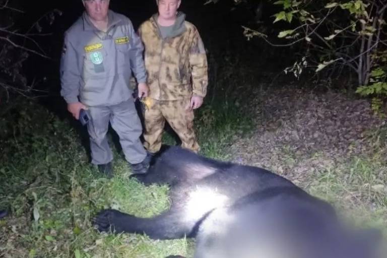 A imagem mostra dois homens em um ambiente noturno, ao lado de um urso deitado no chão. Um dos homens está vestido com um uniforme cinza e o outro com um traje camuflado. O urso está em uma área coberta de grama e folhas, e há uma fonte de luz iluminando o animal.