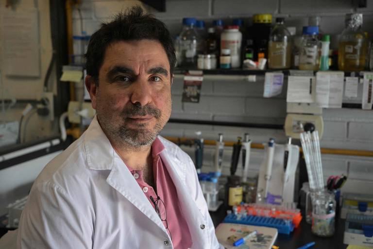 O biólogo argentino Alejandro Nadra no laboratório na Faculdade de Ciências Exatas da Universidade de Buenos Aires
