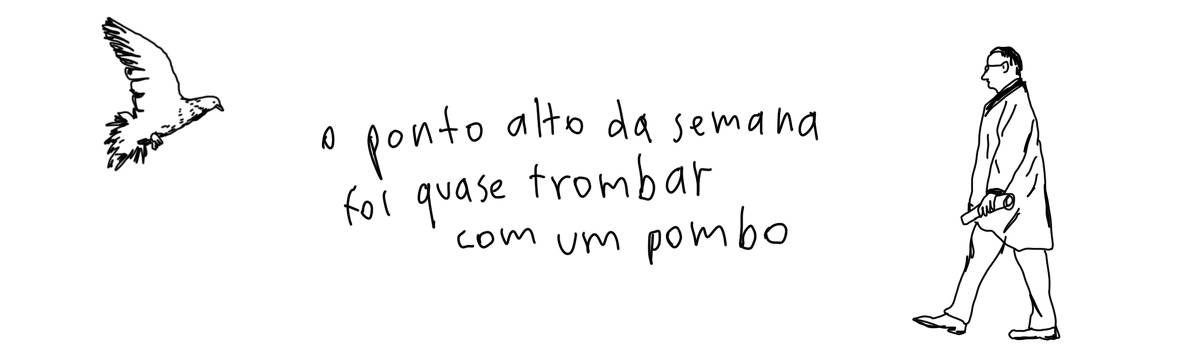 A tirinha em preto e branco de Estela May, publicada em 04/10/24, traz um homem andando e um pombo voando. Entre os dois, “o ponto alto da semana foi quase trombar com um pombo”.