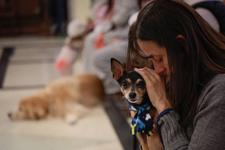 Pets recebem bênção no Dia de São Francisco