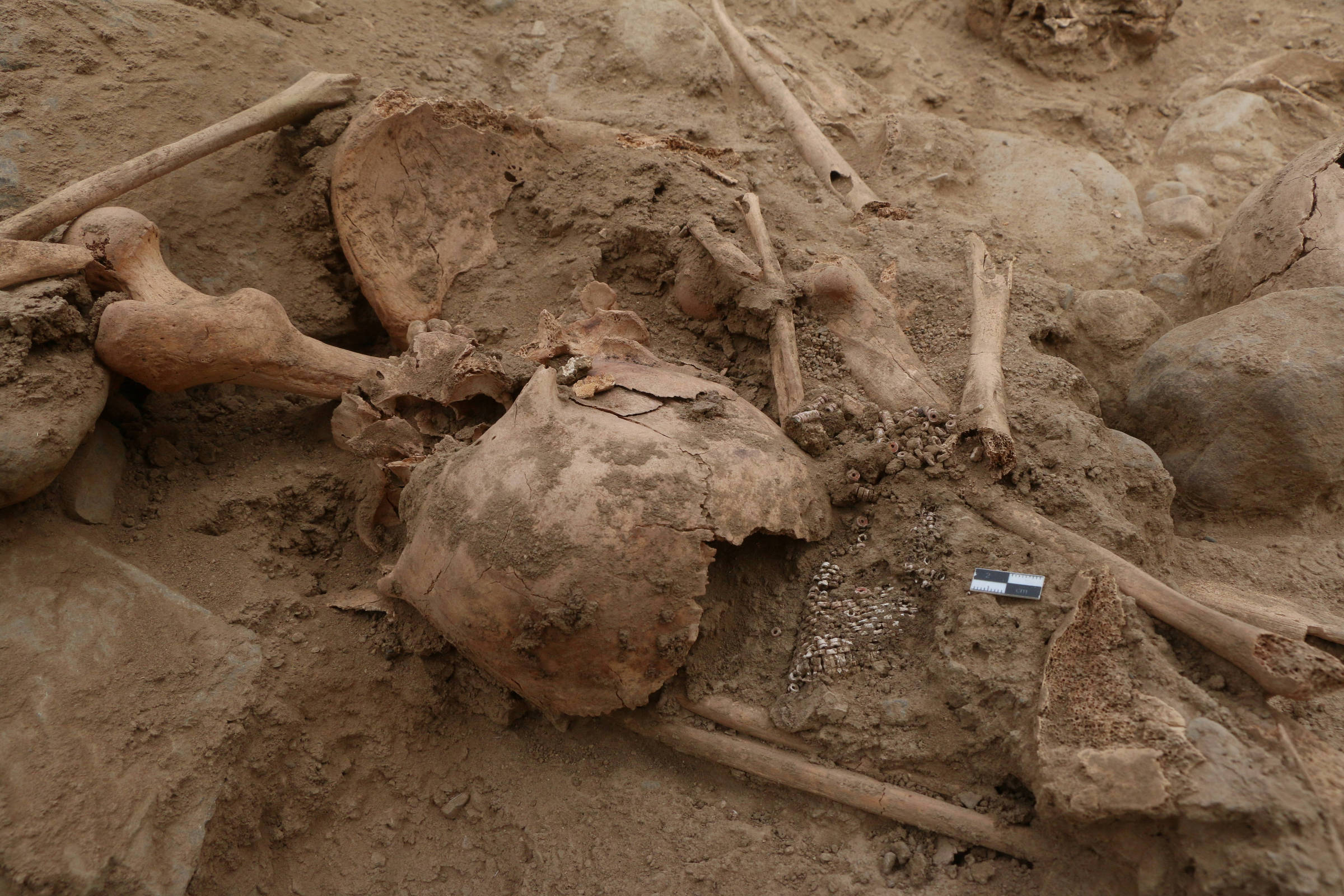 Children were sacrificed 600 years ago in Peru – 05/10/2024 – Science