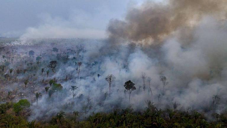 Imagem aérea de uma área de floresta em chamas, com fumaça densa cobrindo a vegetação. Árvores estão visíveis, algumas em pé e outras queimadas, enquanto a fumaça se espalha pelo céu. O ambiente parece desolado, com uma mistura de árvores verdes e áreas queimadas.