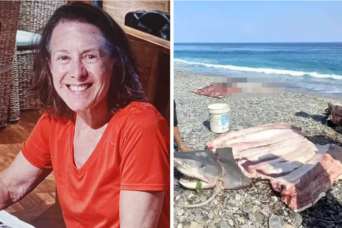 The body of a tourist was found inside a shark – 07/10/2024 – Have you seen it?