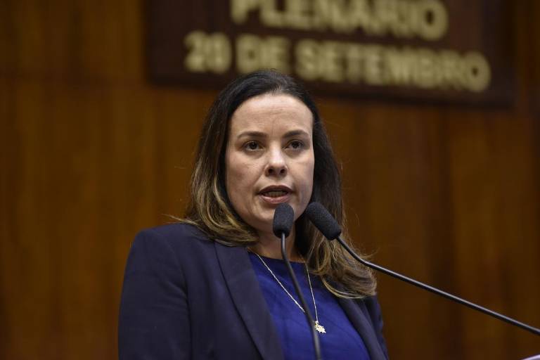 Juliana Brizola (PDT) ficou na terceira posição no primeiro turno, em que recebeu 19,69% dos votos válidos; os demais candidatos não somaram, juntos, 5% dos votos