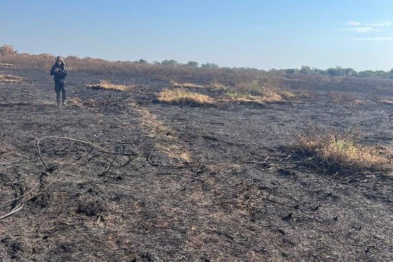 Dez infratores queimaram área equivalente a 5 cidades de São Paulo, apontam multas do Ibama