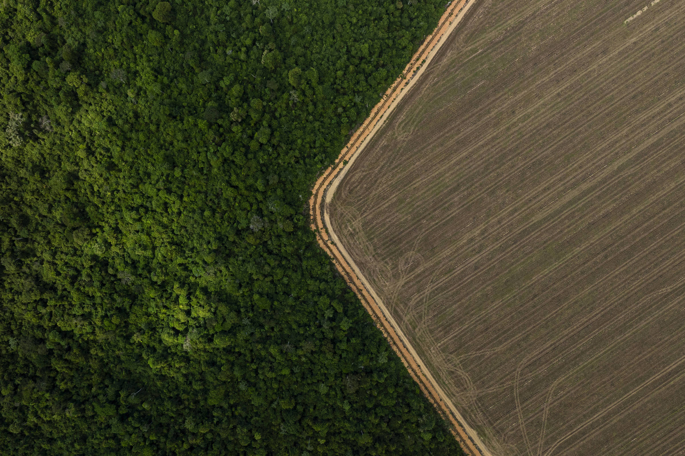 A COP30 e as oportunidades para o Brasil